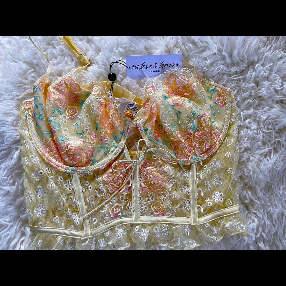 For love and lemons Victoria’s secret bustier